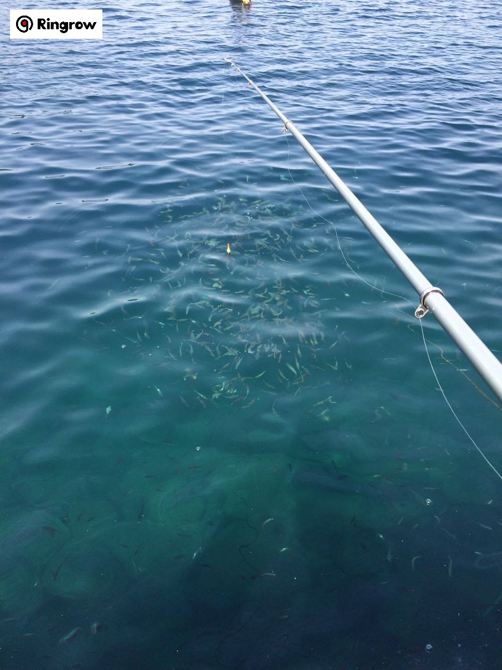 e%c2%87a%c2%82%c2%8a2